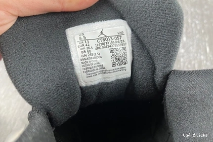 Jordan 739 Retro CT8013-057 EasyMatch Air 12 1117